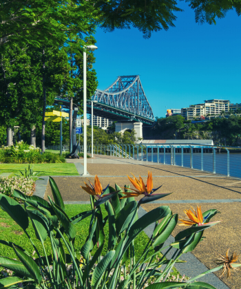 Best Buyers Advocates in North Brisbane